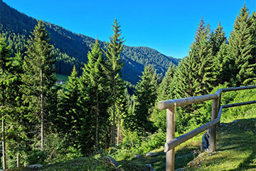 vacanze in baita Trentino con bambini